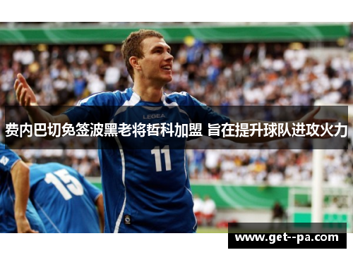 费内巴切免签波黑老将哲科加盟 旨在提升球队进攻火力 费内巴切免签波黑老将哲科加盟 旨在提升球队进攻火力