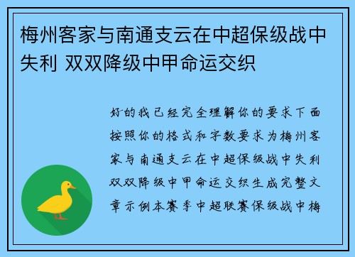 梅州客家与南通支云在中超保级战中失利 双双降级中甲命运交织